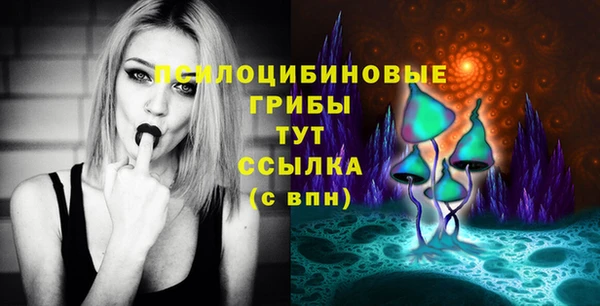 меф Богородицк